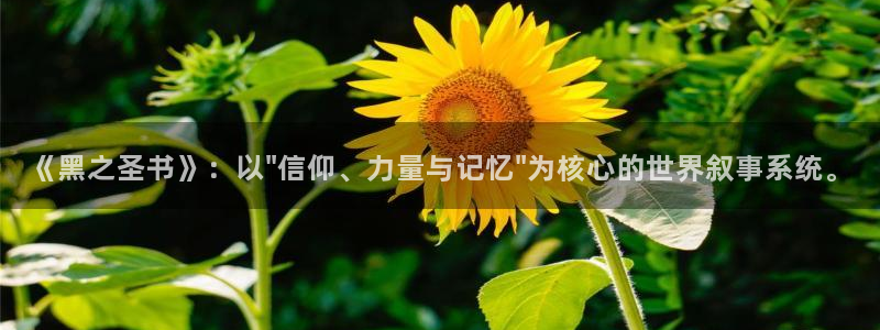 动漫之家排行榜