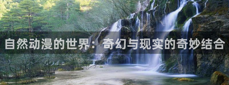 动漫之家 the