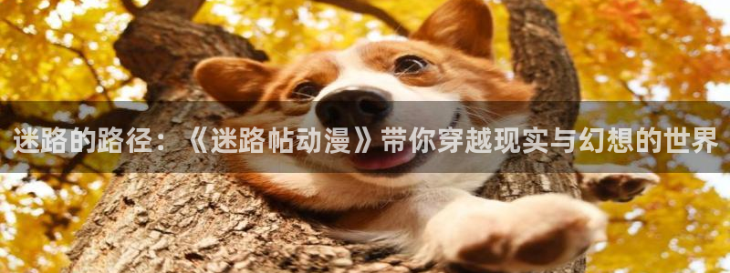 动漫之家网页版下载