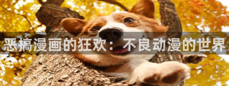 樱花动漫之家官网入口