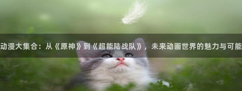 动漫之家网
