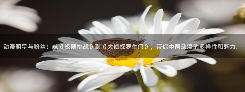 动漫之家不能看了