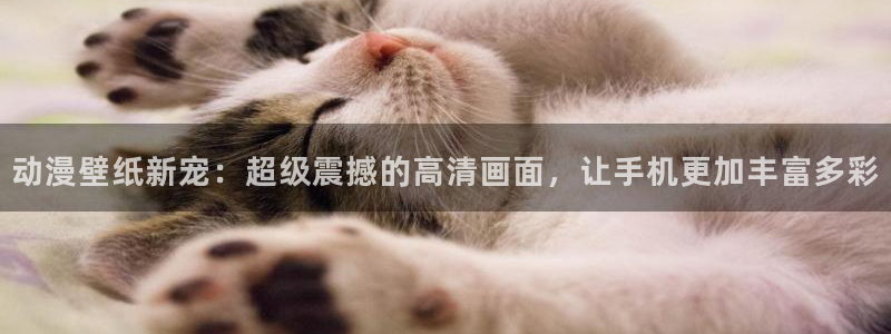 动漫之家1