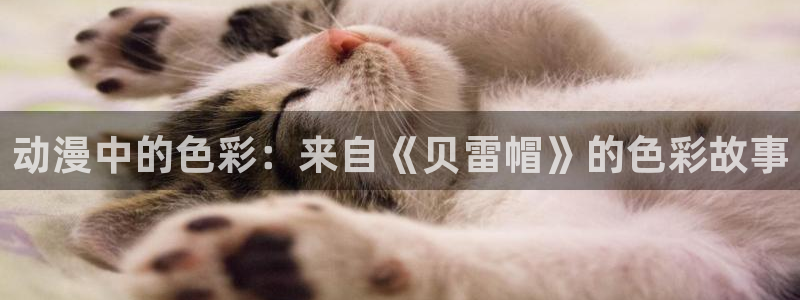 动漫之家网址