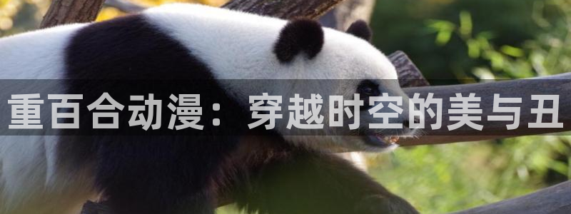 动漫之家dmzj