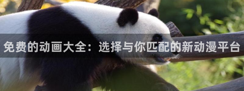 动漫之家dmzj