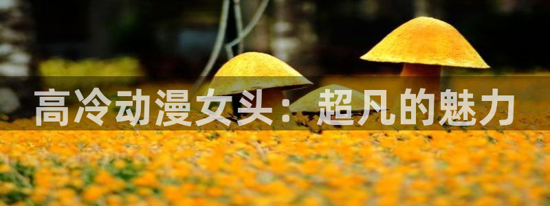 动漫之家其他动漫