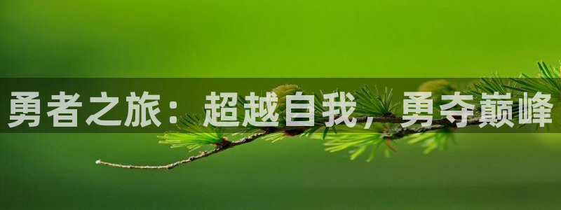 动漫之家可以看：勇者之旅：超越自我，勇夺巅峰