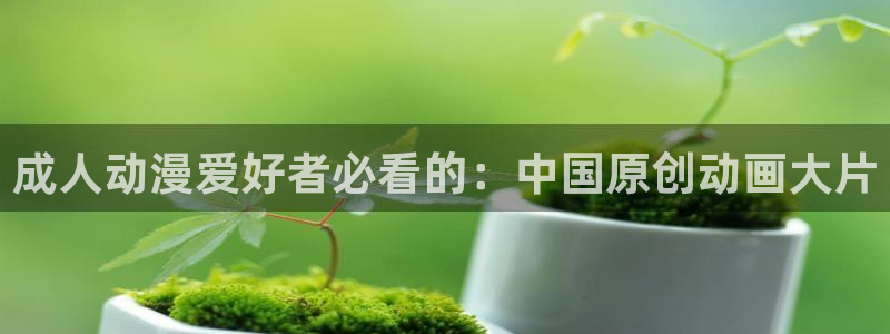 动漫之家上不去：成人动漫爱好者必看的：中国原创动画大片