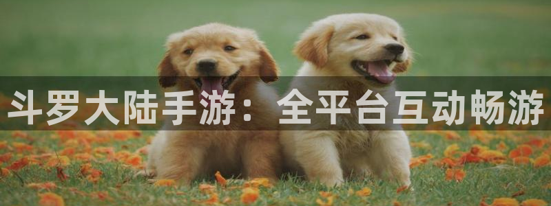 动漫之家怎么找到神隐
