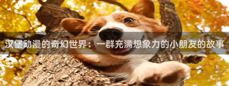动漫之家网页