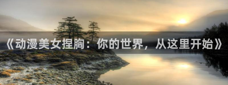 动漫之家安装包