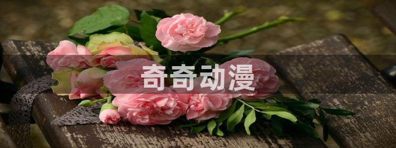 动漫之家被：奇奇动漫