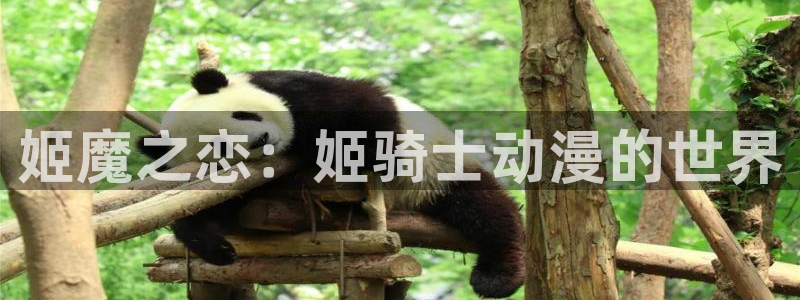 动漫之家其他动漫