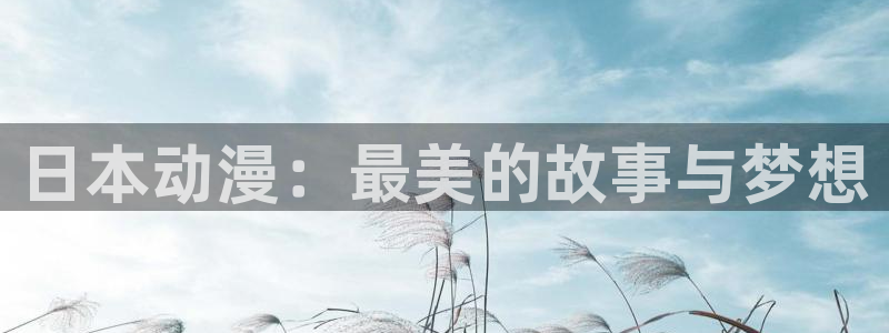 动漫之家安装不了：日本动漫：最美的故事与梦想