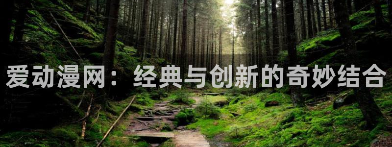 58动漫之家：爱动漫网：经典与创新的奇妙结合