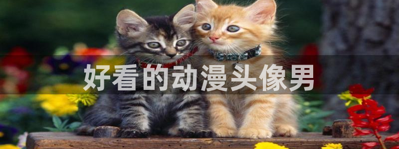 动漫之家下载入口：好看的动漫头像男