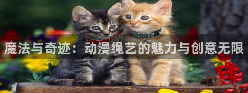 动漫之家社区版下载：魔法与奇迹：动漫绳艺的魅力与创意无限