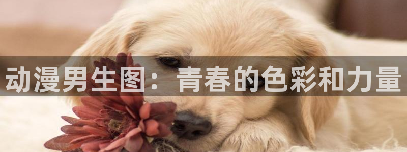 动漫之家app看不了漫画：动漫男生图：青春的色彩和力量