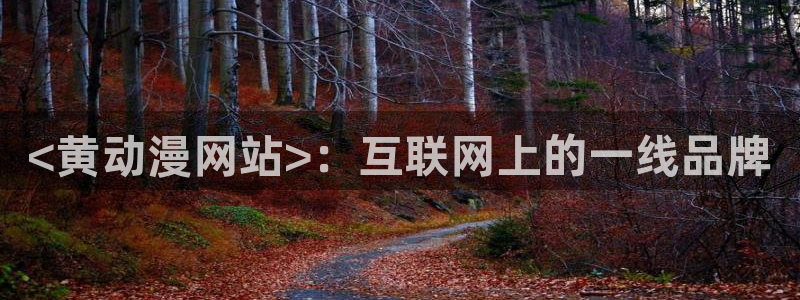 动漫之家网页端：<黄动漫网站>：互联网上的一线品牌