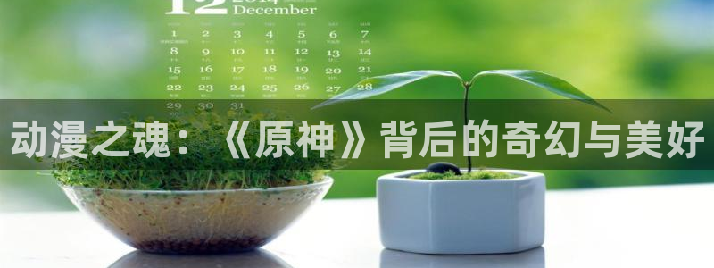 动漫之家排行