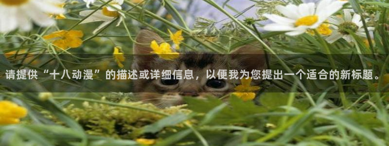 动漫之家app下载：请提供“十八动漫”的描述或详细信息，以便我为您提出一个适合的新标题。