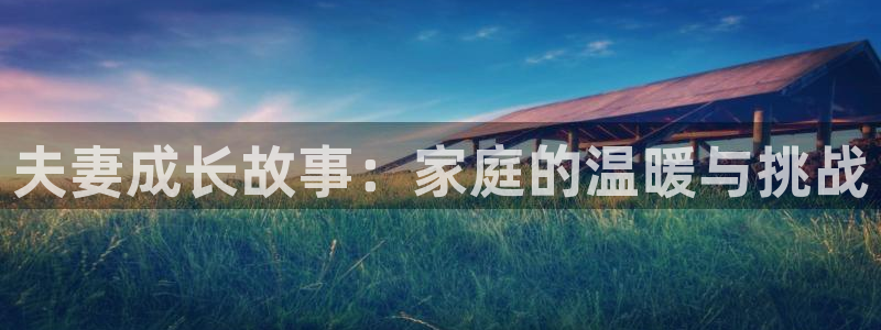 动漫之家是什么：夫妻成长故事：家庭的温暖与挑战
