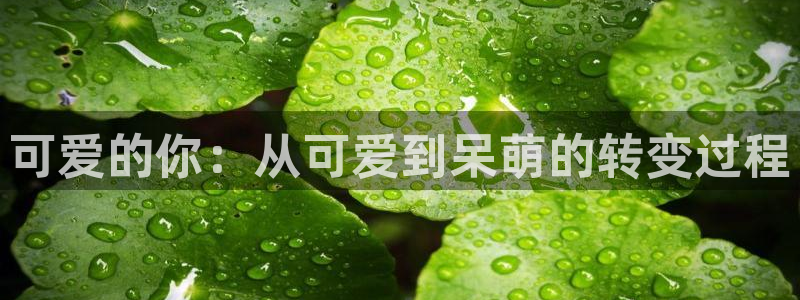 动漫之家官网人口：可爱的你：从可爱到呆萌的转变过程