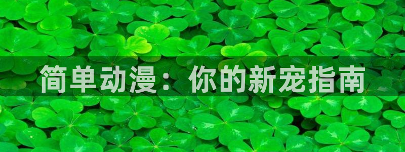 剑风传奇漫画动漫之家：简单动漫：你的新宠指南