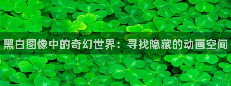 010动漫之家：黑白图像中的奇幻世界：寻找隐藏的动画空间