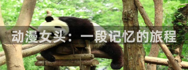 动漫之家 网页