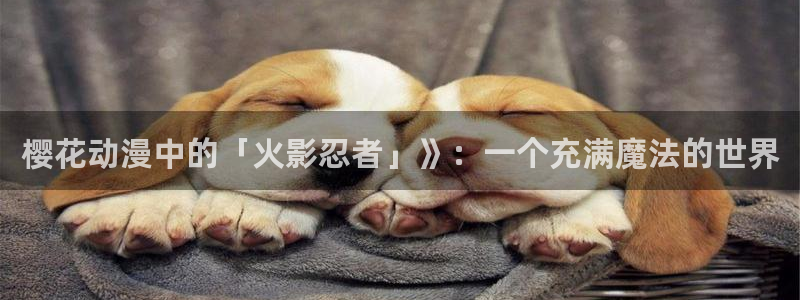 动漫之家漫画下载：樱花动漫中的「火影忍者」》：一个充满魔法的世界