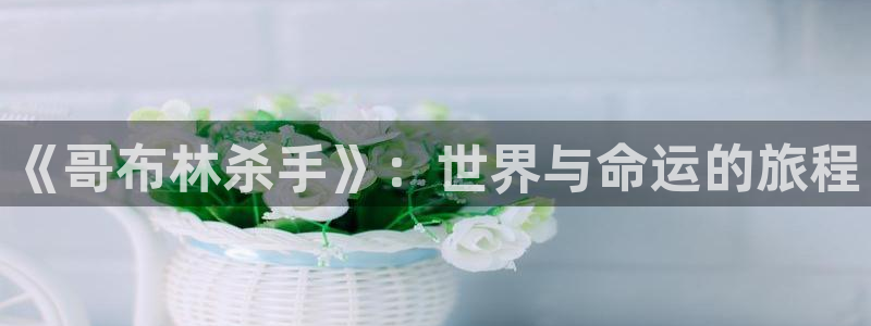 动漫之家轻小说网：《哥布林杀手》：世界与命运的旅程
