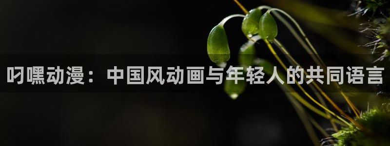动漫之家x：叼嘿动漫：中国风动画与年轻人的共同语言