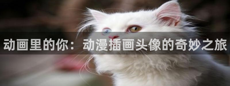 变身emergence 动漫之家：动画里的你：动漫插画头像的奇妙之旅