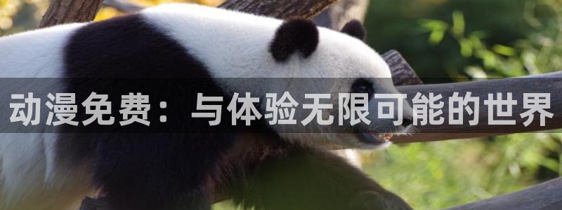 樱花动漫之家官网：动漫免费：与体验无限可能的世界