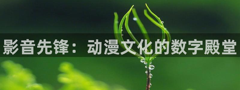 动漫之家网站：影音先锋：动漫文化的数字殿堂