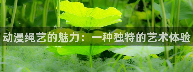 ,动漫之家：动漫绳艺的魅力：一种独特的艺术体验