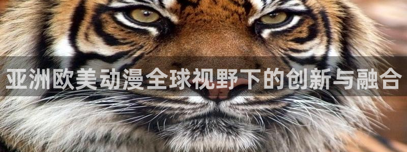 www.动漫之家