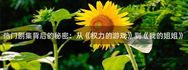 剑风传奇漫画 动漫之家：热门剧集背后的秘密：从《权力的游戏》到《我的姐姐》